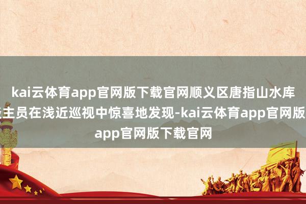 kai云体育app官网版下载官网顺义区唐指山水库责任主谈主员在浅近巡视中惊喜地发现-kai云体育app官网版下载官网